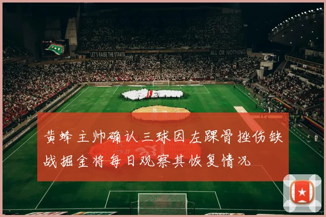 黄蜂主帅确认三球因左踝骨挫伤缺战掘金将每日观察其恢复情况