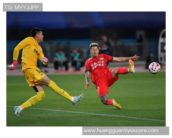 携手共进迎新篇章祝武汉三镇足球俱乐部12岁生日快乐